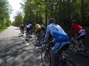 RTF Celle 2011 Manfred 082